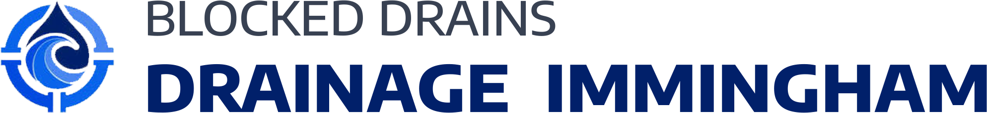 website logo